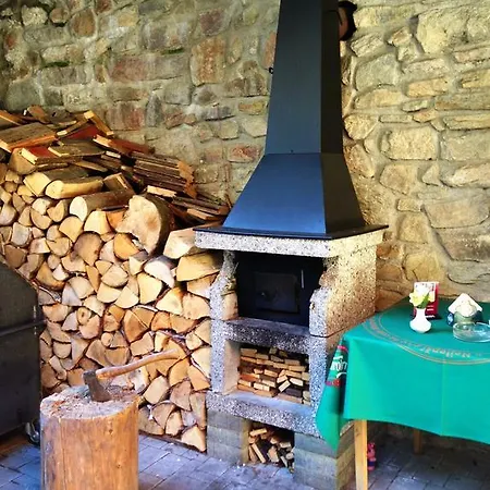 Borovnice