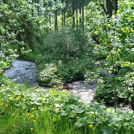 Penzion Borovnice