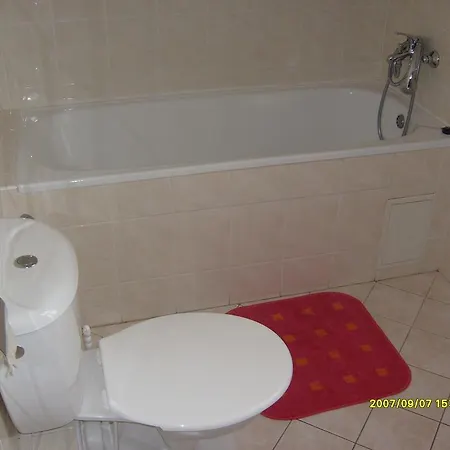 Guest house Borovnice 3*