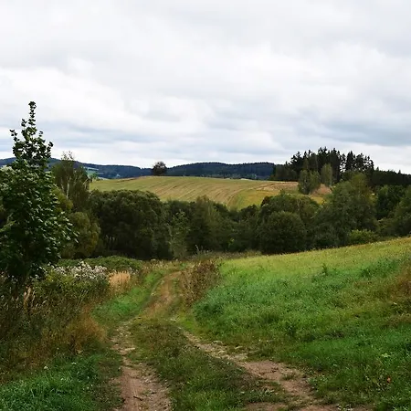 Borovnice Jimramov