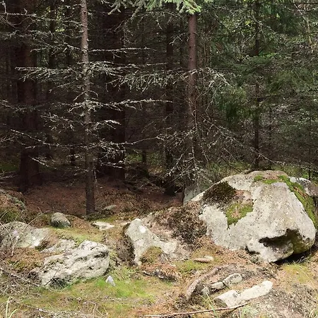 Borovnice