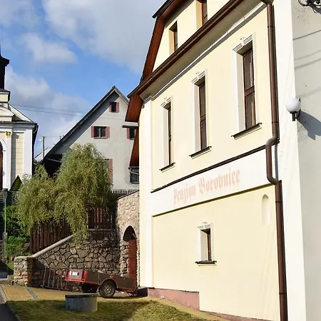Guest house Borovnice 3*