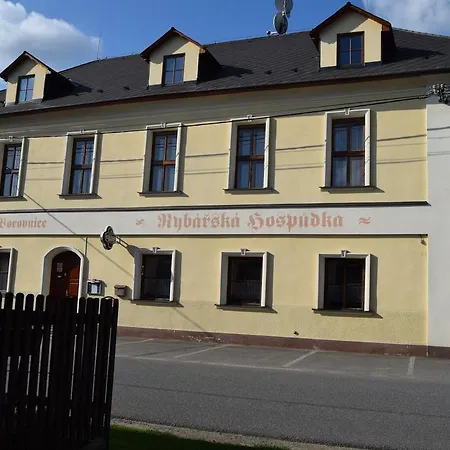 Guest house Borovnice 3*