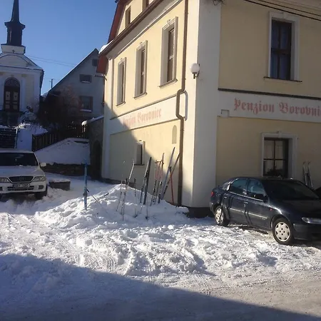 Borovnice 3*