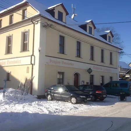 Borovnice Penzion 3*
