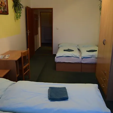 Penzion Borovnice 3*
