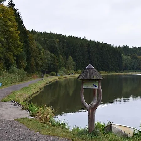 Borovnice